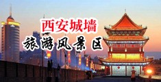 骚逼美女中国陕西-西安城墙旅游风景区